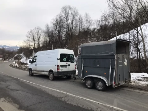 TRANSPORT ANIMALE VII